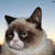 :grumpycat4: