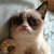 :grumpycat7: