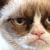 :grumpycat2: