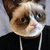 :xzicat: